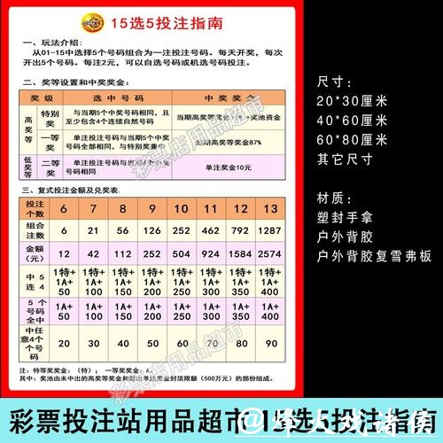 世界杯预选赛投注指南：如何下注